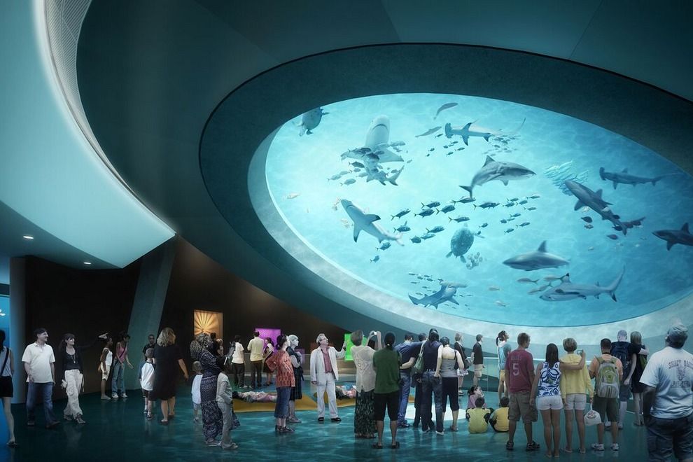 aquarium frost miami
